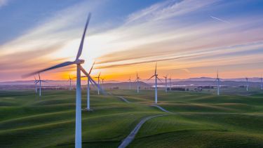 Image of wind turbines in a field with sunset behind