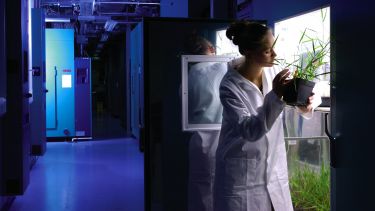 Student in Controlled Environment facility