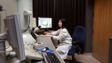 Researcher in the lab