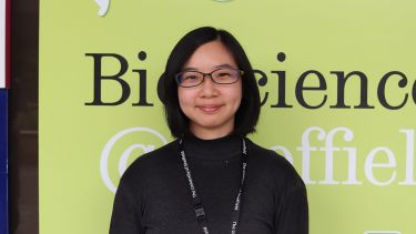 Jing-Yi Jeng