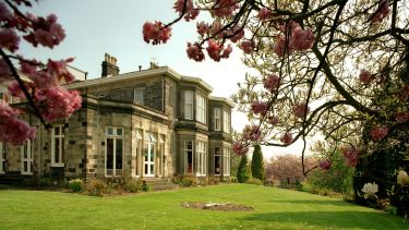 halifax hall exterior with blossom trees