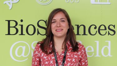 Lara DeTomasi