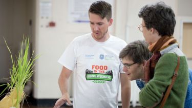 Sustainable food events