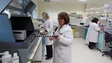 A group of Translational Neuroscience technicians hard at work.