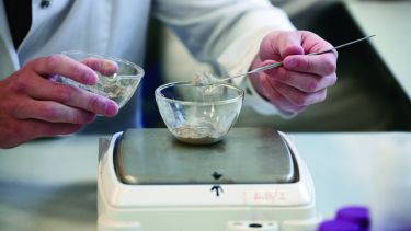 A student weighs substances into a dish ready for an experiemnt - image