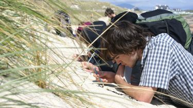 DLL Environmental Science Image