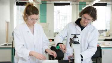 Two mature students working together in a lab 