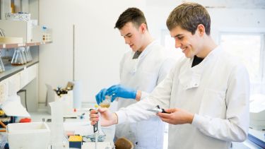 The genetics of brewing - in the lab