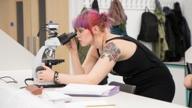 A mature student using a microscope 