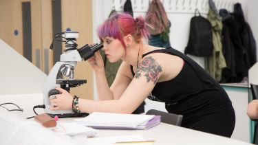 A mature student using a microscope - image