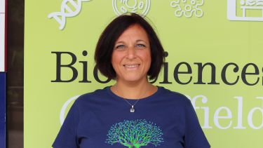Dr Mirna Mustapha
