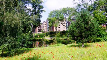 The Ranmoor/Endcliffe Pond