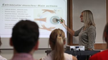 Teaching in Orthoptics. 