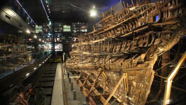 Mary Rose