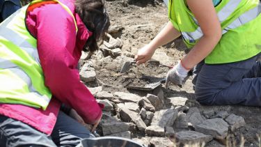 Two students working on a archaeological dig - image