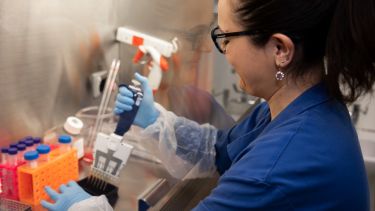 A medical student working in a lab - image 