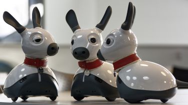 Three Miro robot dogs in a group - image 