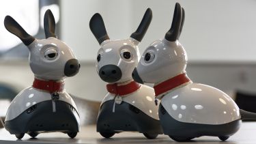 Three Miro robot dogs in a group - image