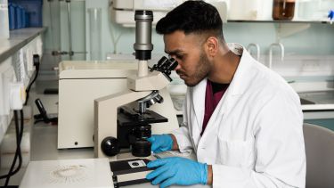An intercalating dental student