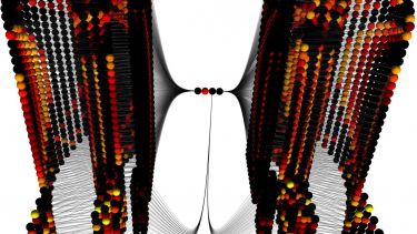 Bee visualisation