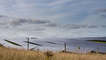 solar farm