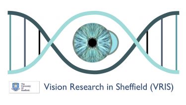 The logo for Vision Research in Sheffield.