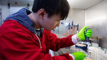 A medical research student