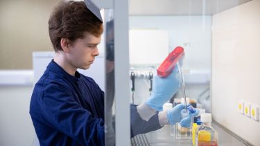 An oncology student in the lab