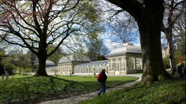 A person walking in the Botanical Gardens