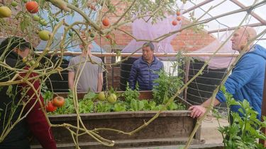 Aquaponics