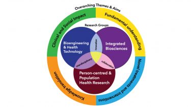 A diagram showing the three research groups in the Dental School.