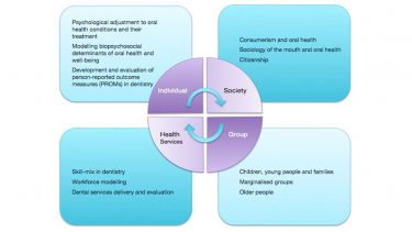 A summary of PAPOR's research. Individual. Society. Group. Health services. 