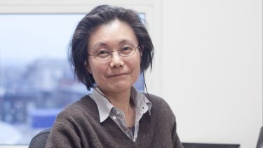 Photo of Professor Aki Tsuchiya