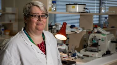 A medical researcher in the lab