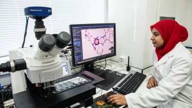 A medical PhD student conducting research in the lab