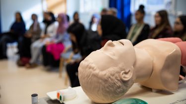 A human model used for teaching
