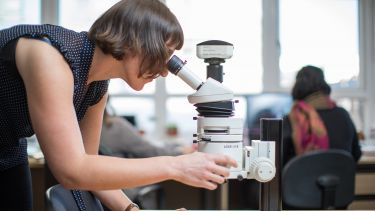 An archaeology postgraduate student uses a microscope.