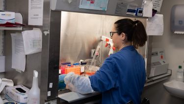 A neuroscience postgraduate student in the lab