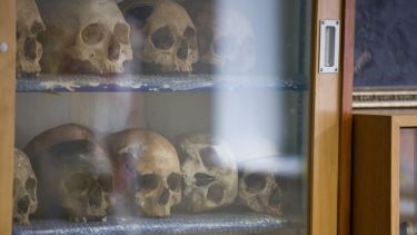 A close up of a cabinet containing human skulls.