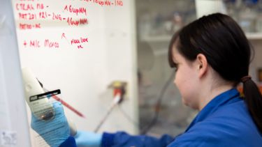 A PhD student in the lab