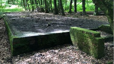 The remains of one of the prison's barracks that were used to hold the prisoners. There were more than 80 barracks at the camp according to the Sheffield students' research