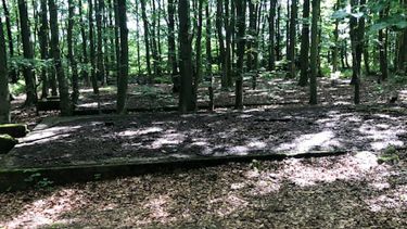 The foundations of the prison's barracks can still be seen despite the area now being covered by woodland