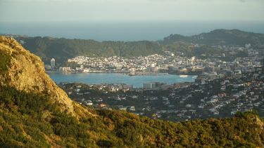 Wellington city