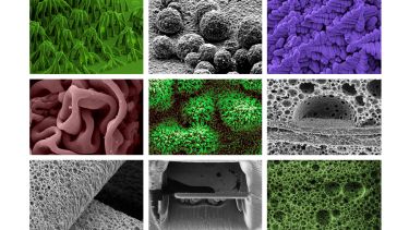 Sorby electron microscopy imagery