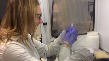 Plant and microbial biology student