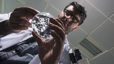 An archaeology student uses lab equipment.