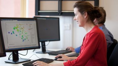 An academic at a computer