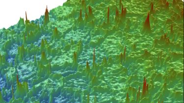 Grain boundaries of a thin film