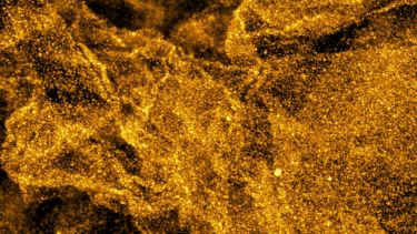 Polymer films can convert solar energy to electricity