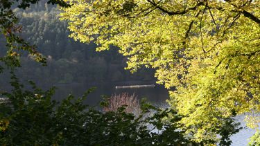A view of the Ladybower Reservoir on a sunny day